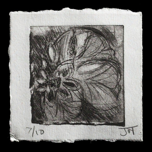 "Hellebore" by Joy Isabel Alice Tracy