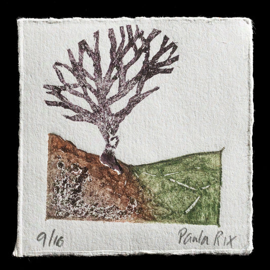 "Cotswold Landscape" by Paula Rix