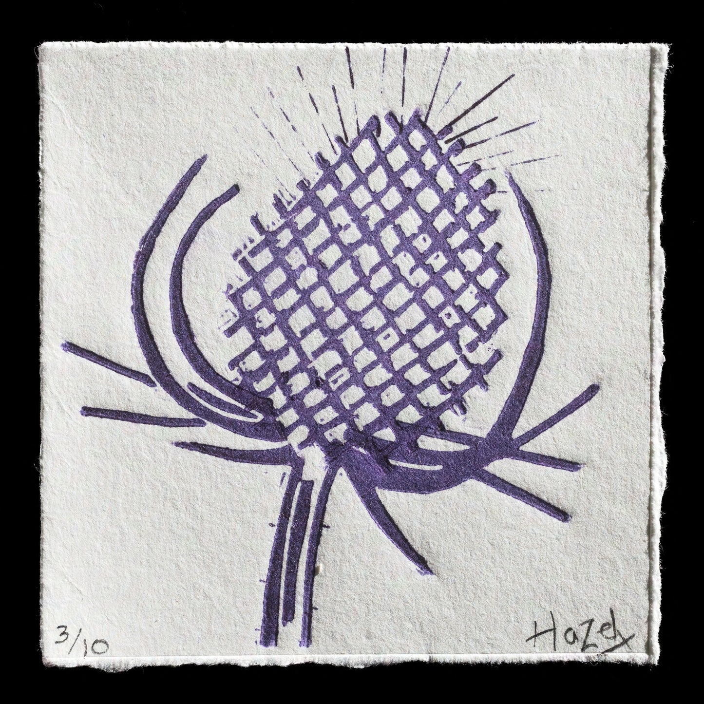 "Teasel" by Hazel Cilia
