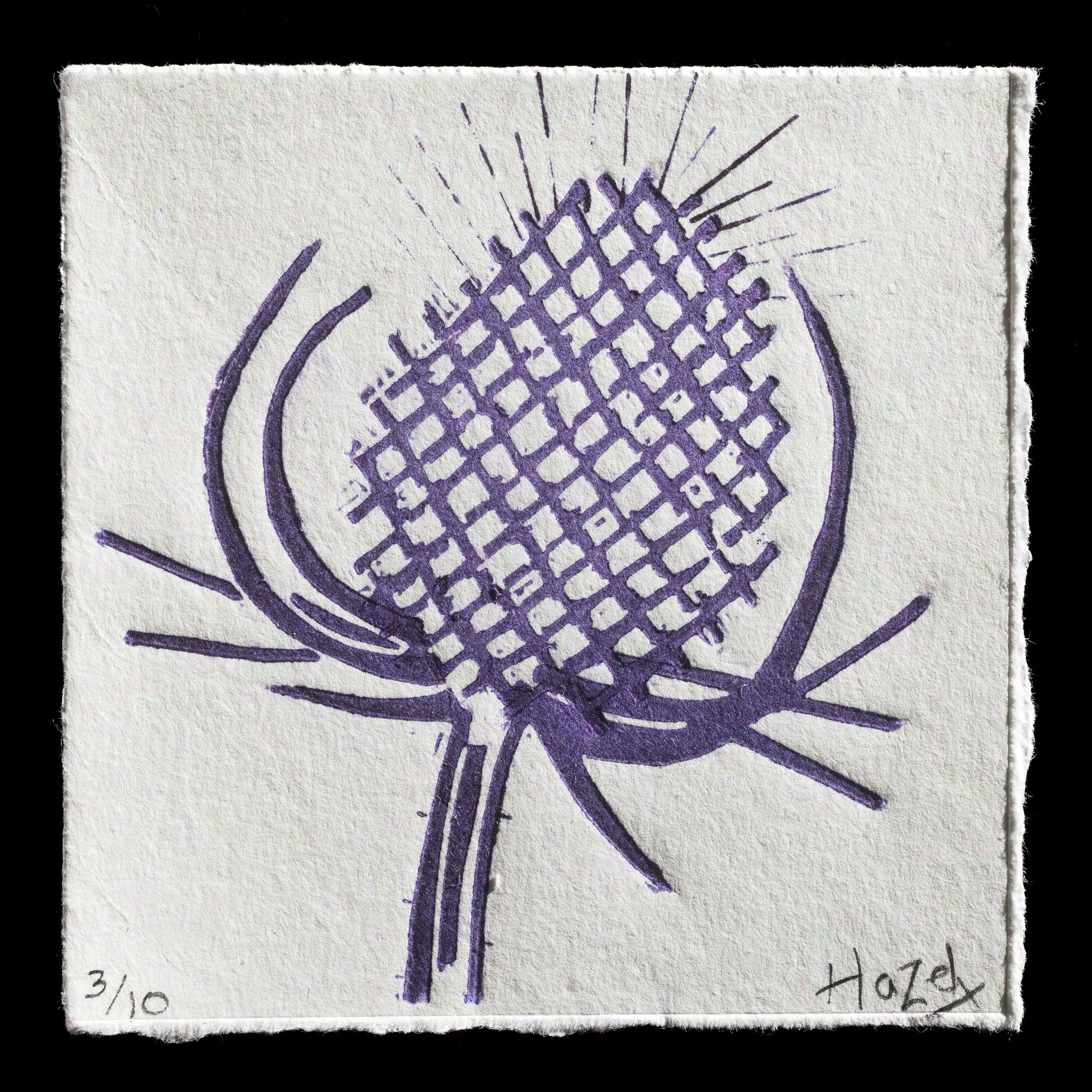 "Teasel" by Hazel Cilia