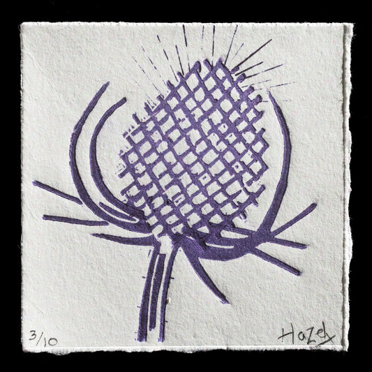 "Teasel" by Hazel Cilia