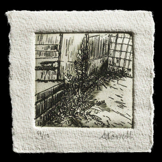 "Urban Growth" by Ann Farrell