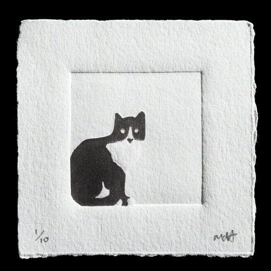 "Mylo" by Mark Adamson