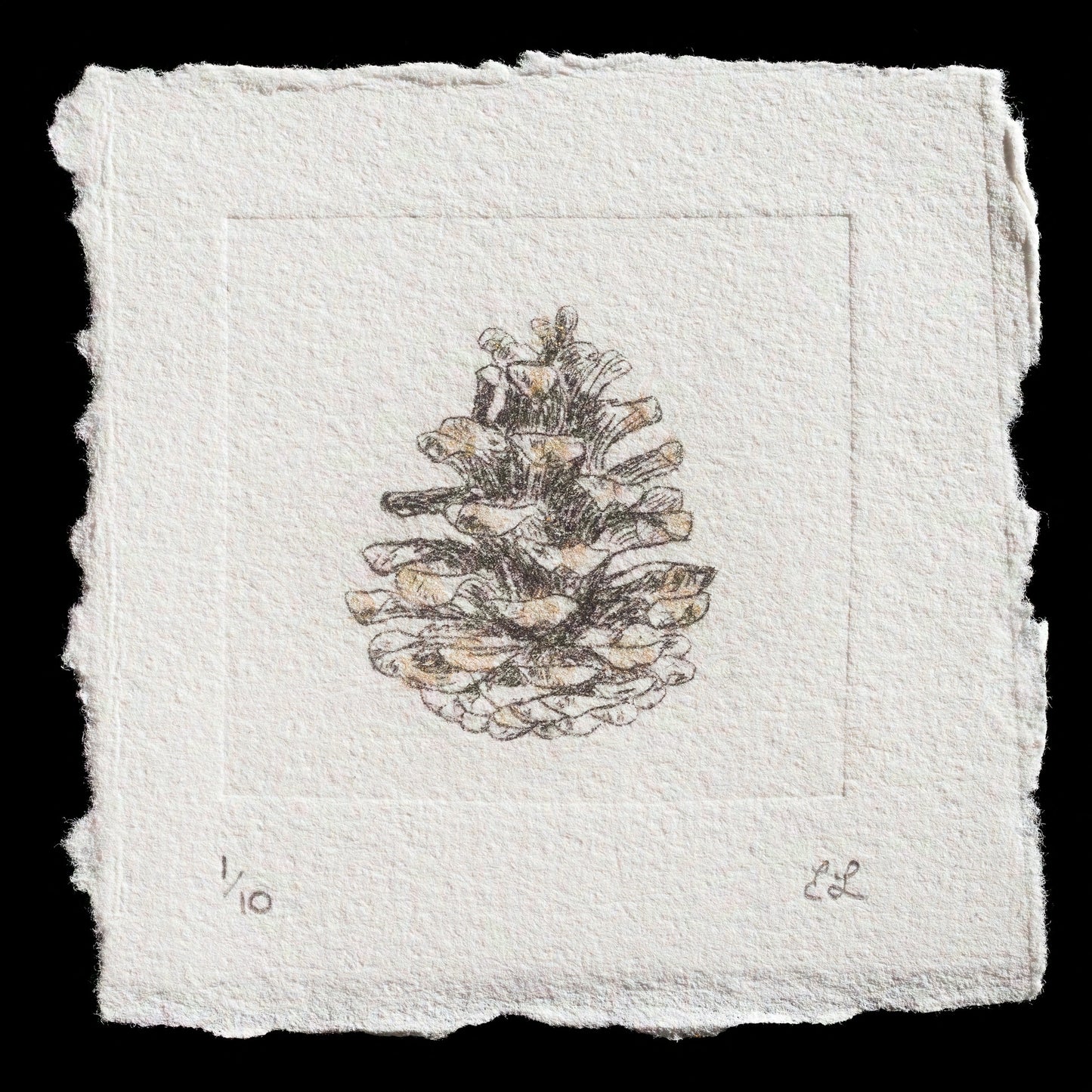 "pinecone" by Elizabeth Lewis