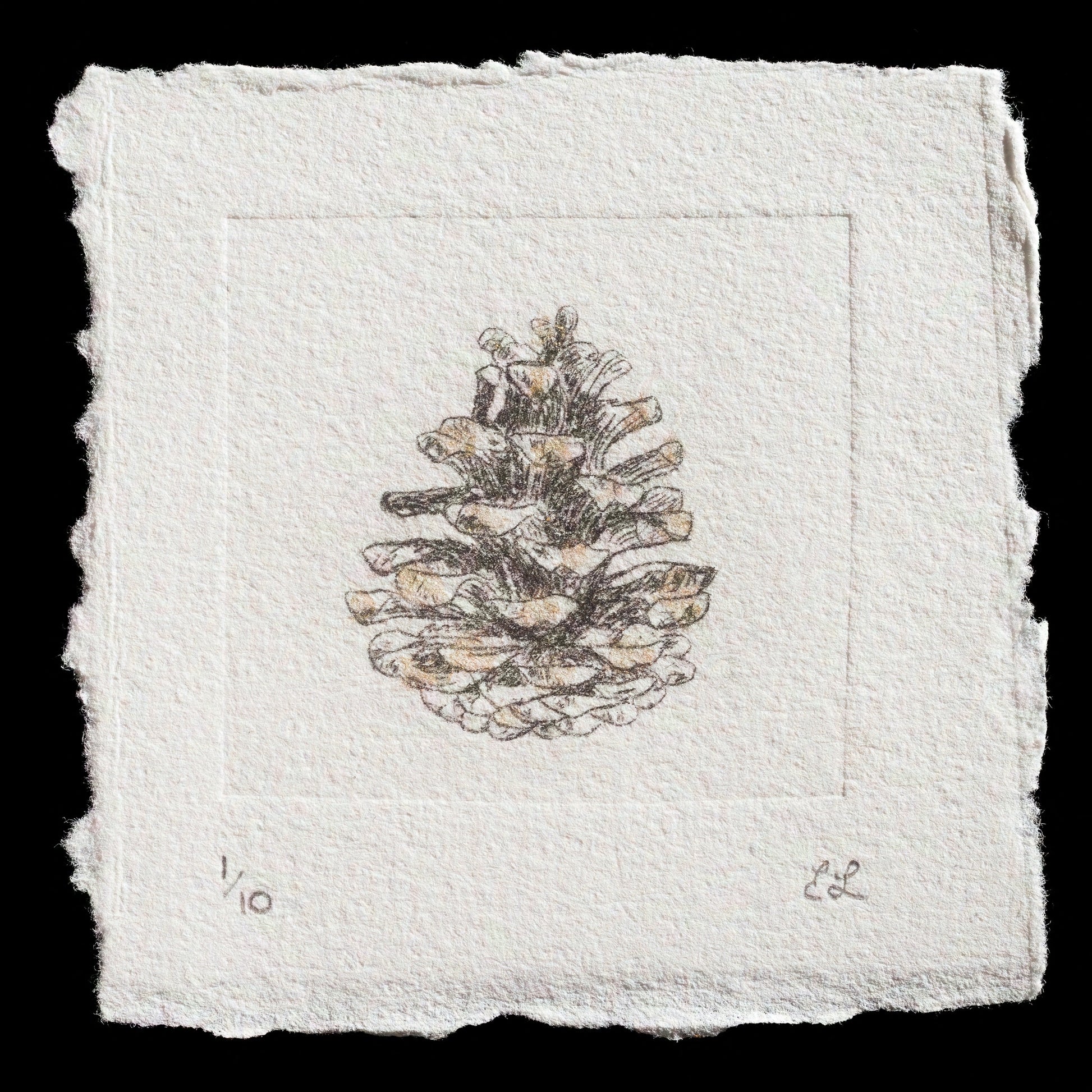 "pinecone" by Elizabeth Lewis