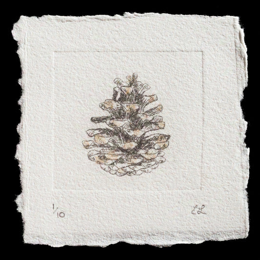 "pinecone" by Elizabeth Lewis
