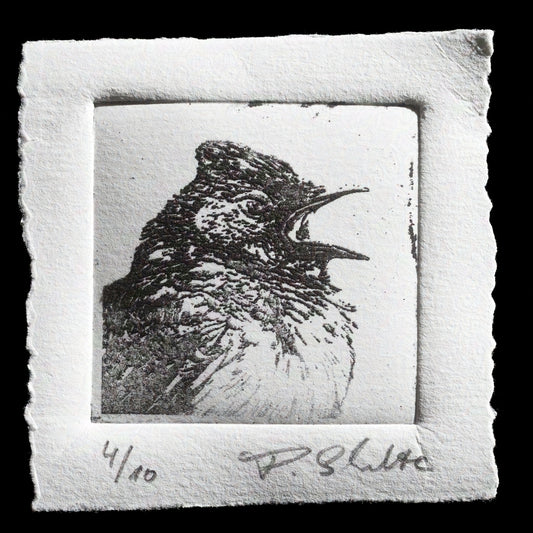 "Scolding bird" by Paul Schulte