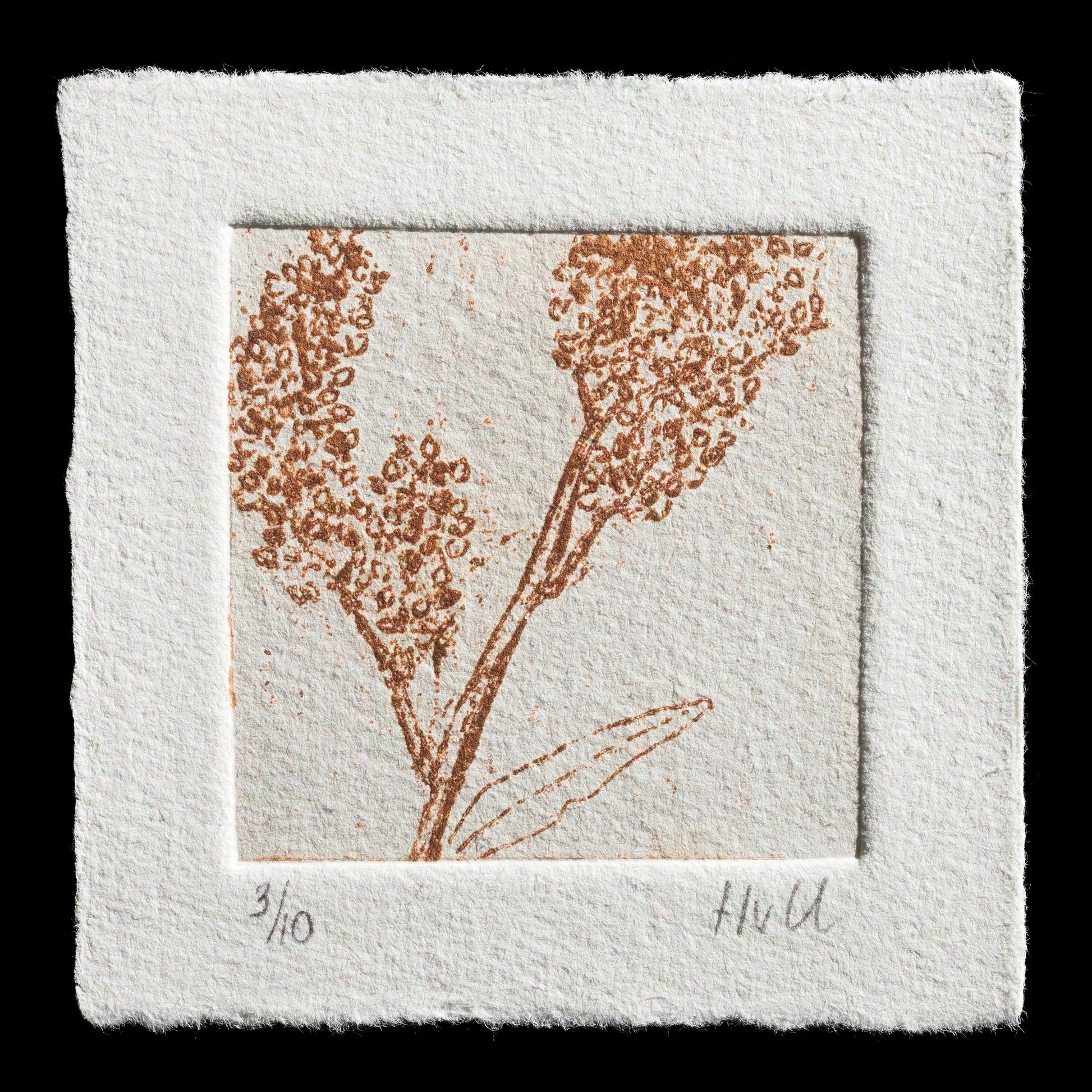"Botanical 1" by Hannie van Uum