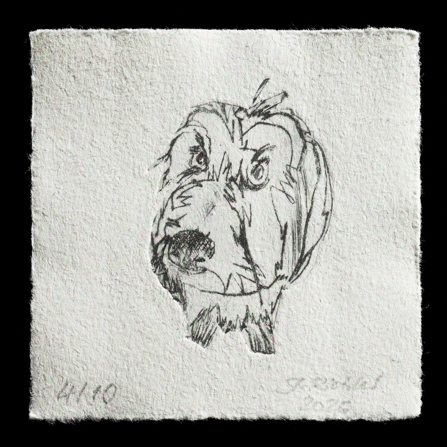 "Jacky" by Jutta Richter
