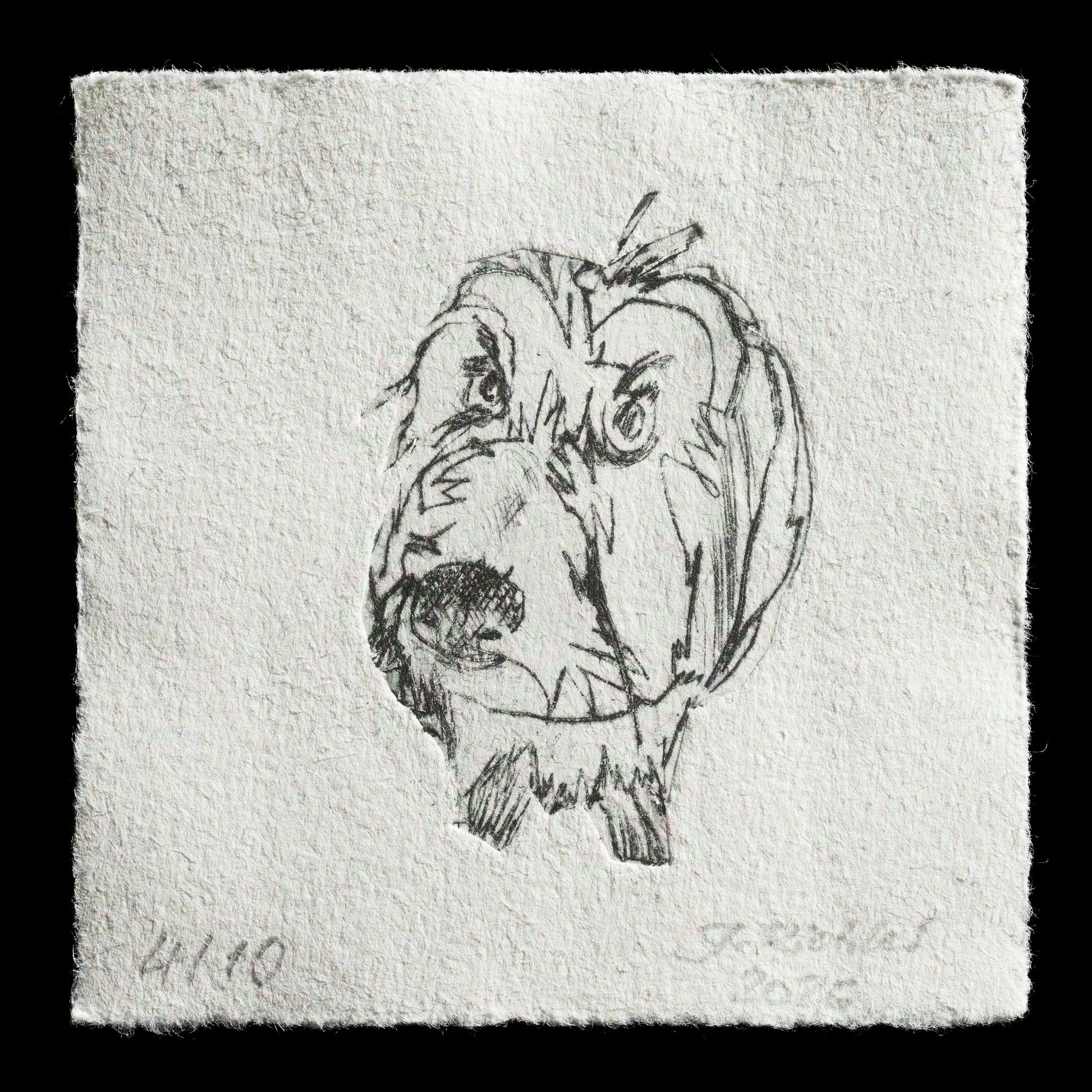 "Jacky" by Jutta Richter