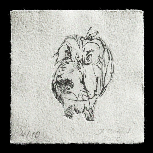 "Jacky" by Jutta Richter