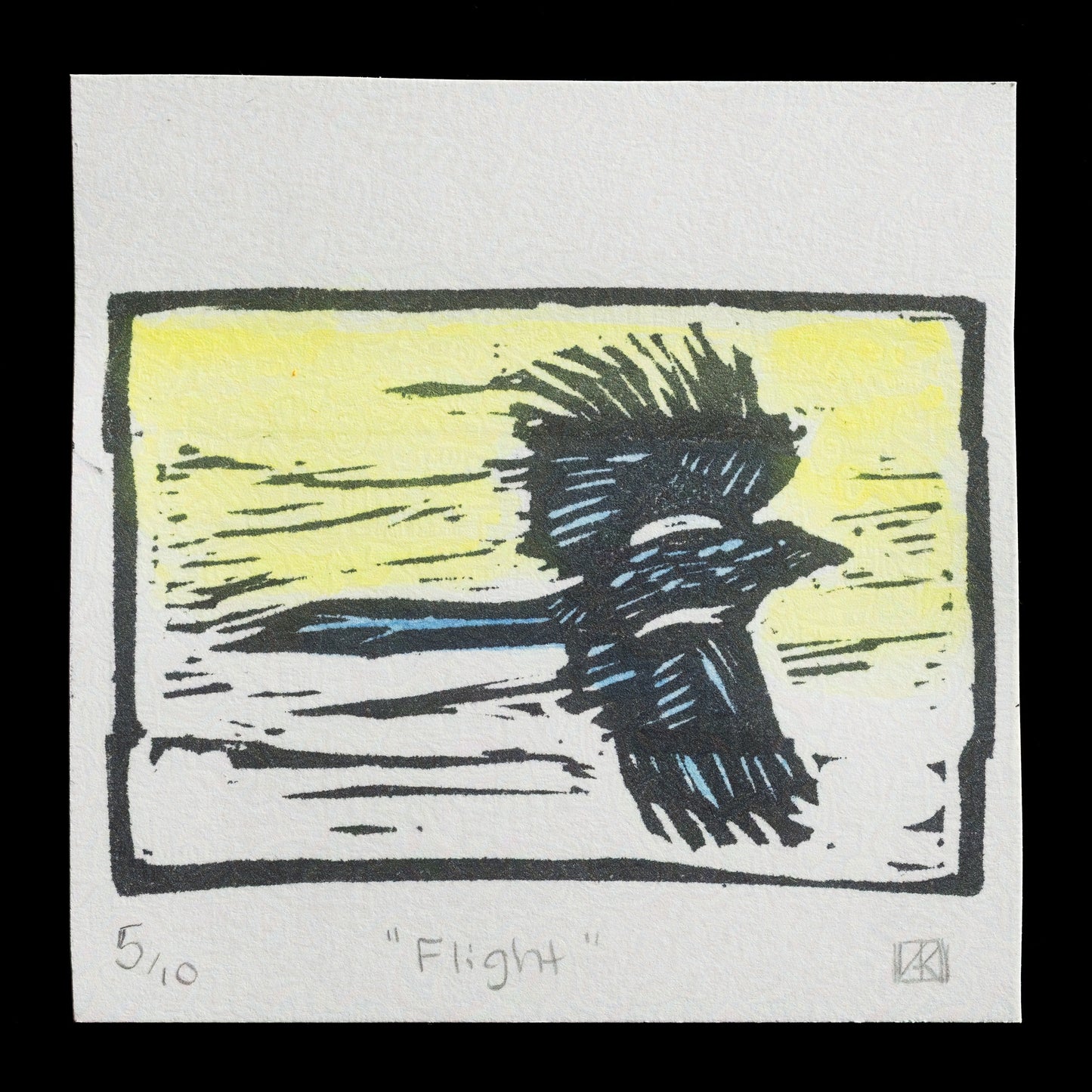 "Flight " by Ashley Knowles 