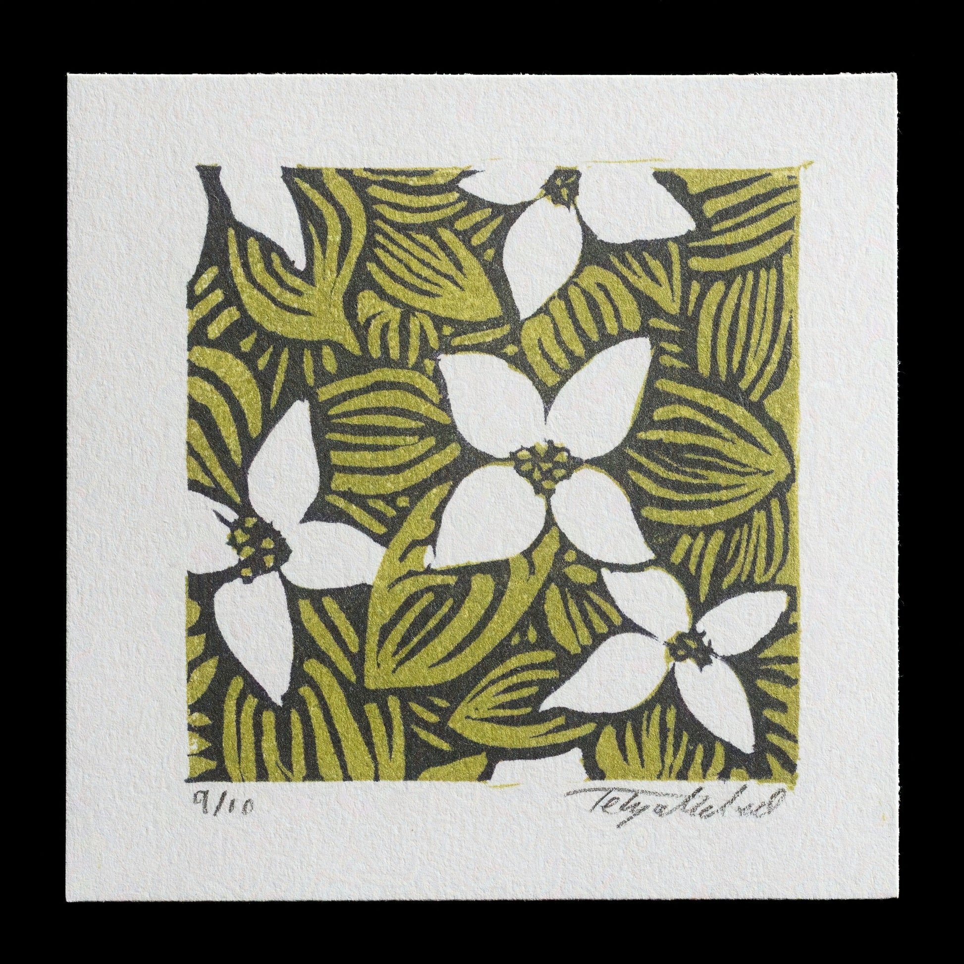 "Cornus Canadensis L" by Tehya McLeod