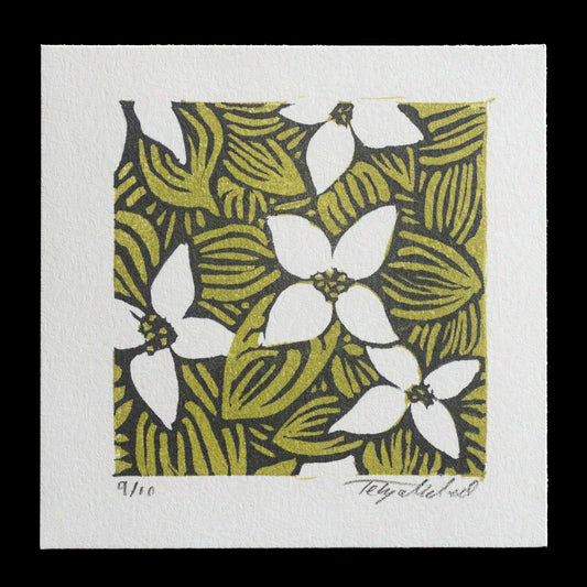 "Cornus Canadensis L" by Tehya McLeod