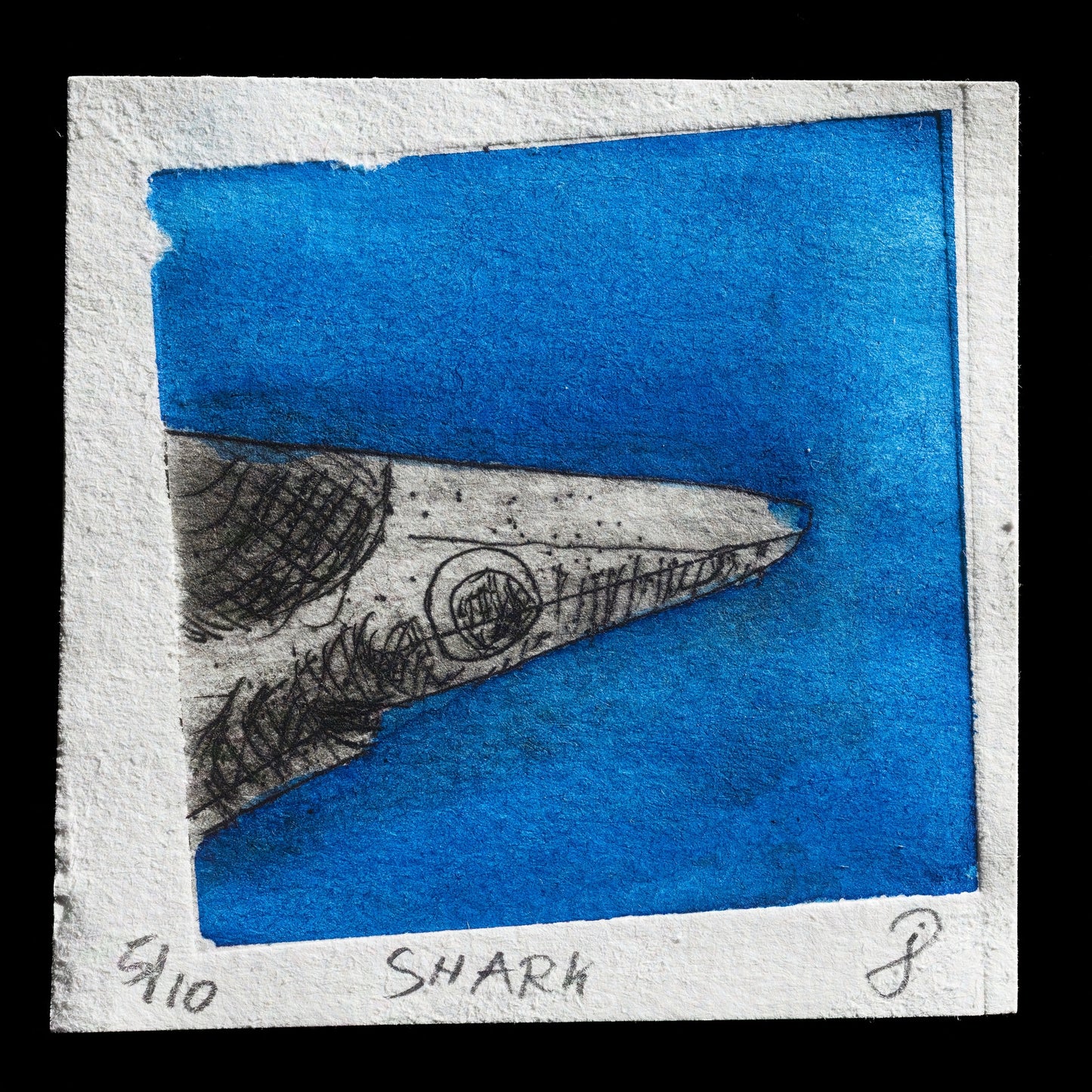 "Shark" by Jip