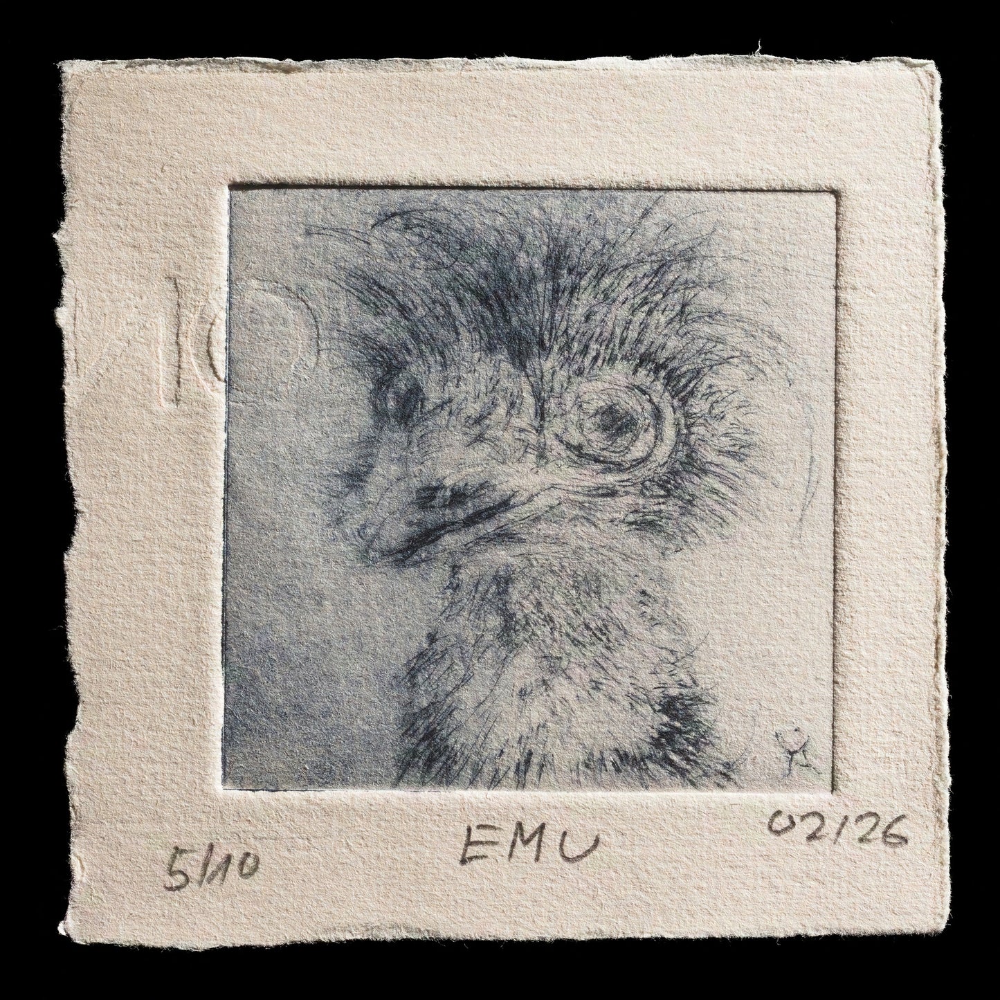 "EMU" by Ursula Häberle