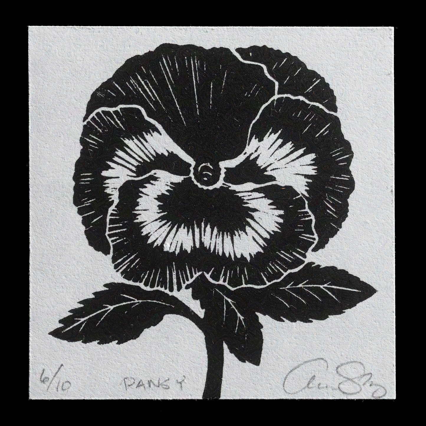 "Pansy" by Aren Straiger