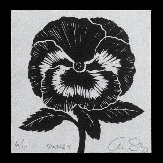 "Pansy" by Aren Straiger