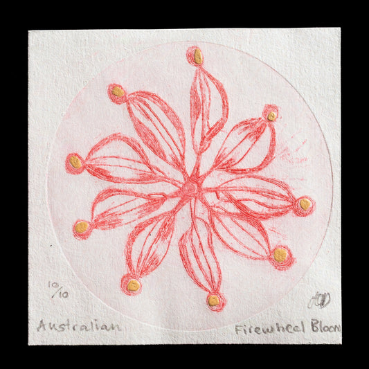 "Firewheel Flower " by Heather Davidson 