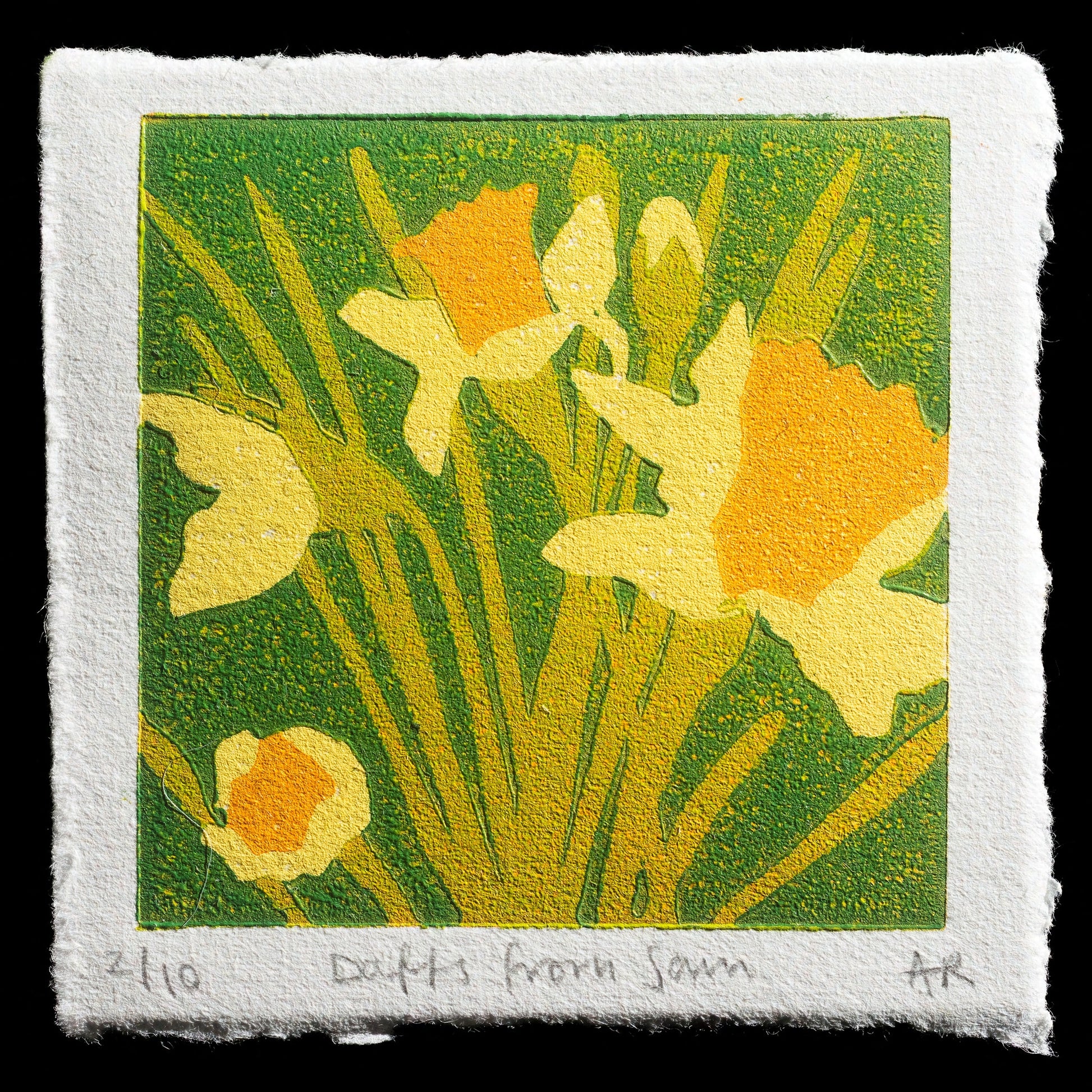 "Daffs from Sam " by Anna Robinson