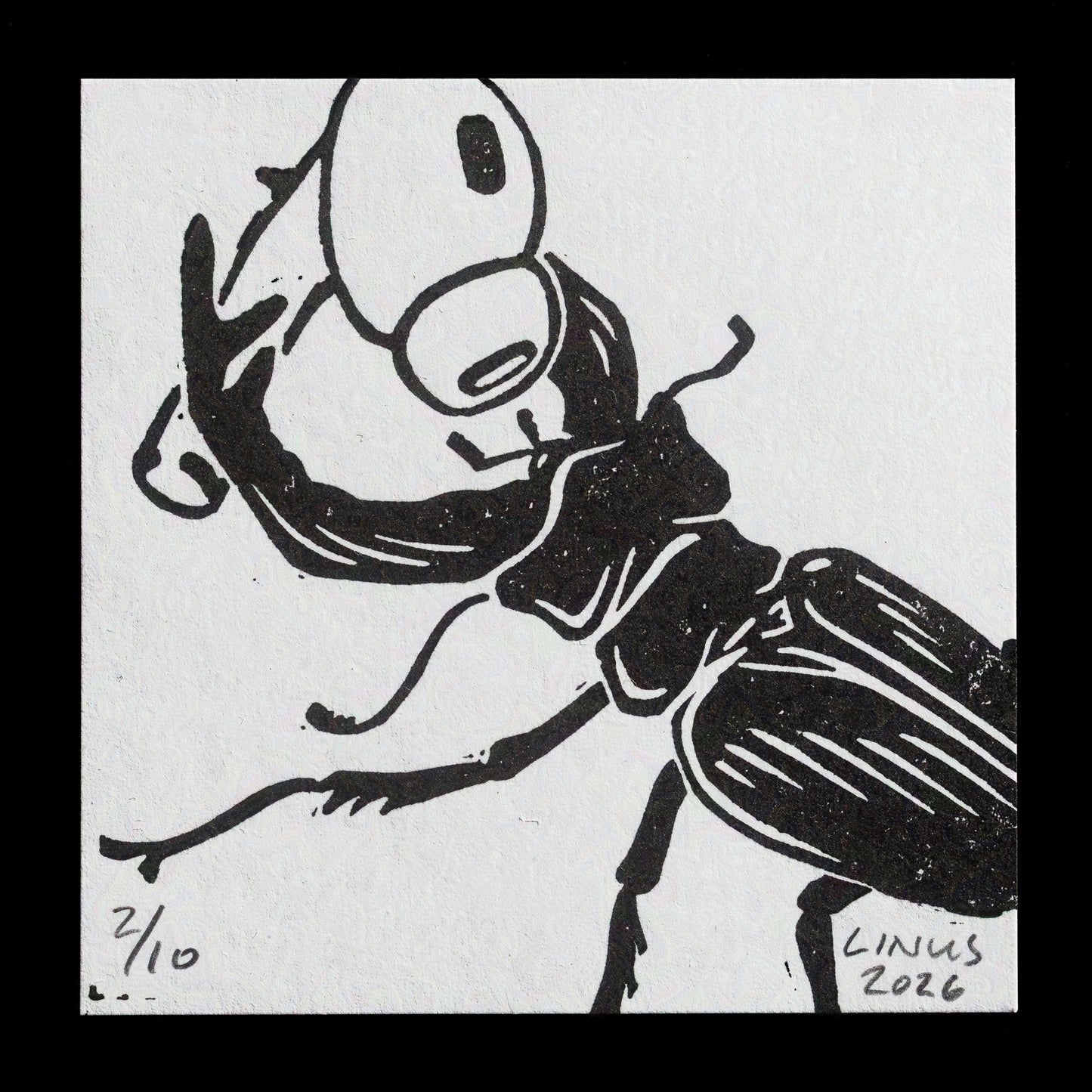 "L. cervus wiyh noise" by Linus Eriksson