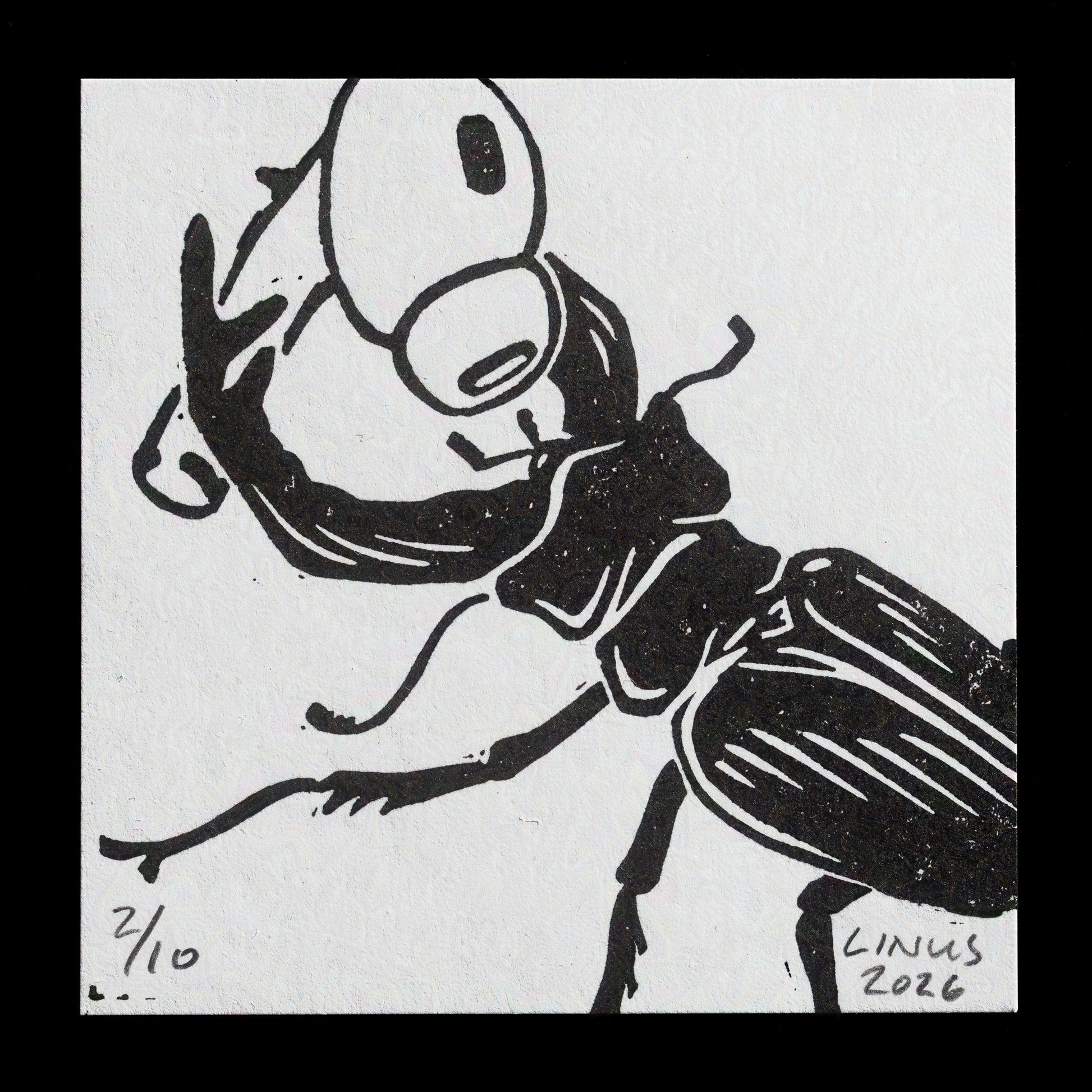 "L. cervus wiyh noise" by Linus Eriksson
