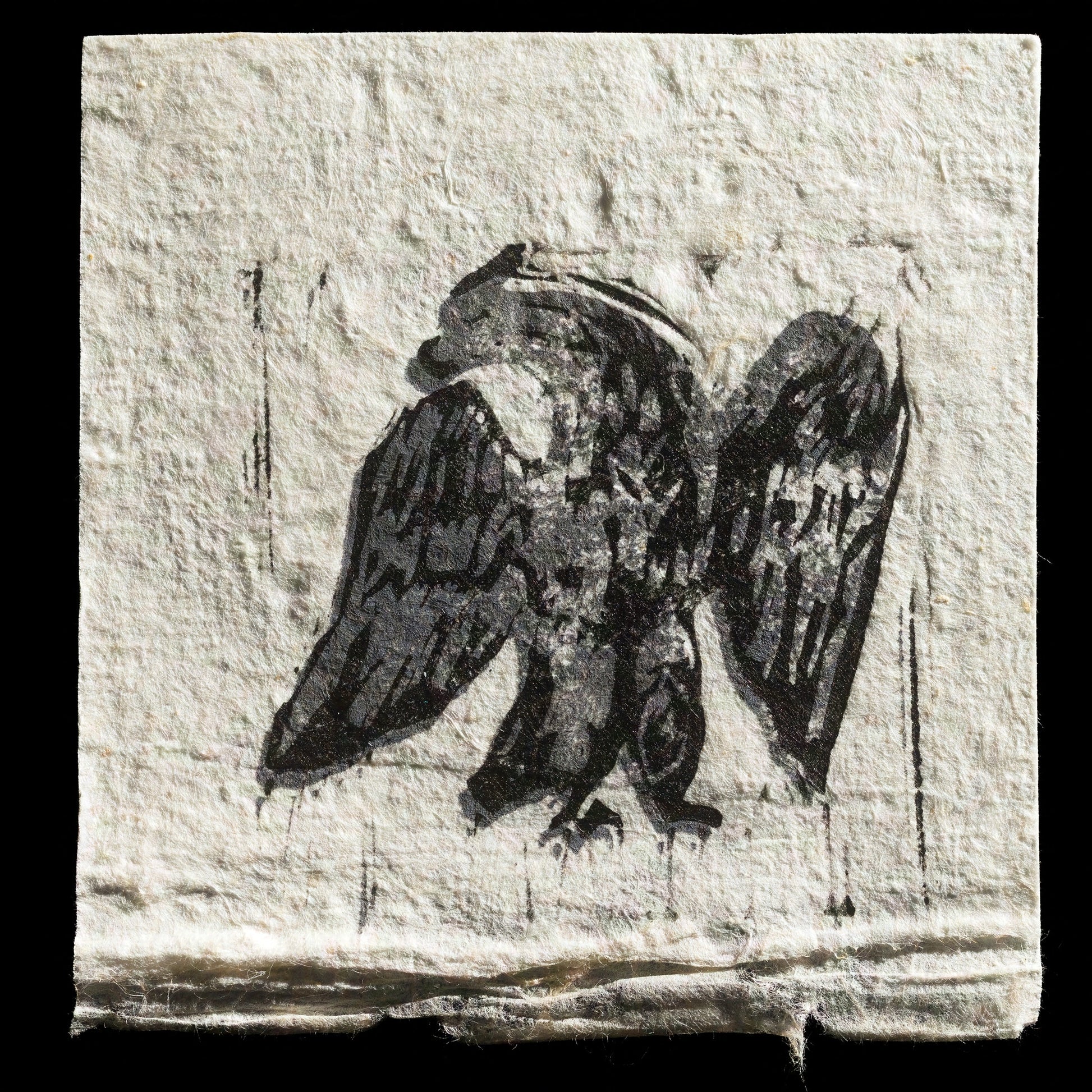 "Eagle" by Ashley Andrews