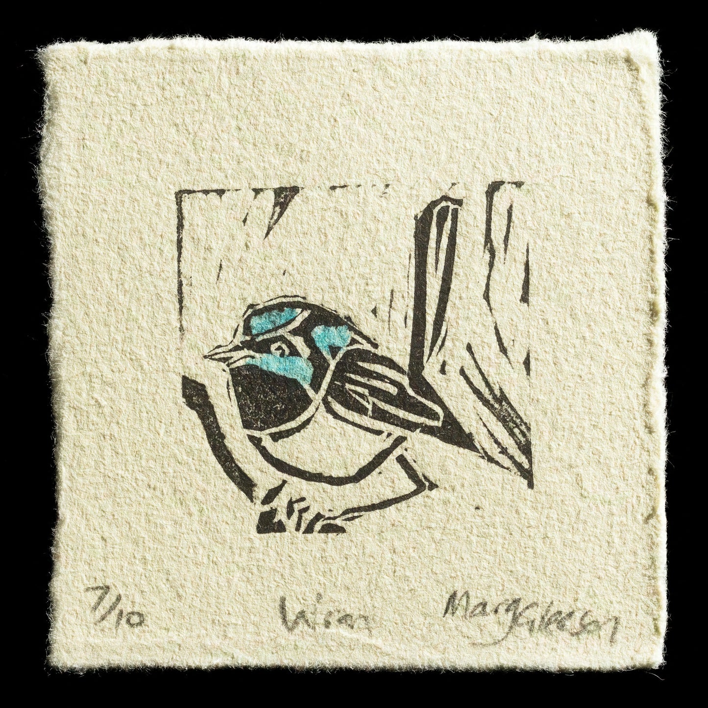 "Wren" by Margie Gleeson