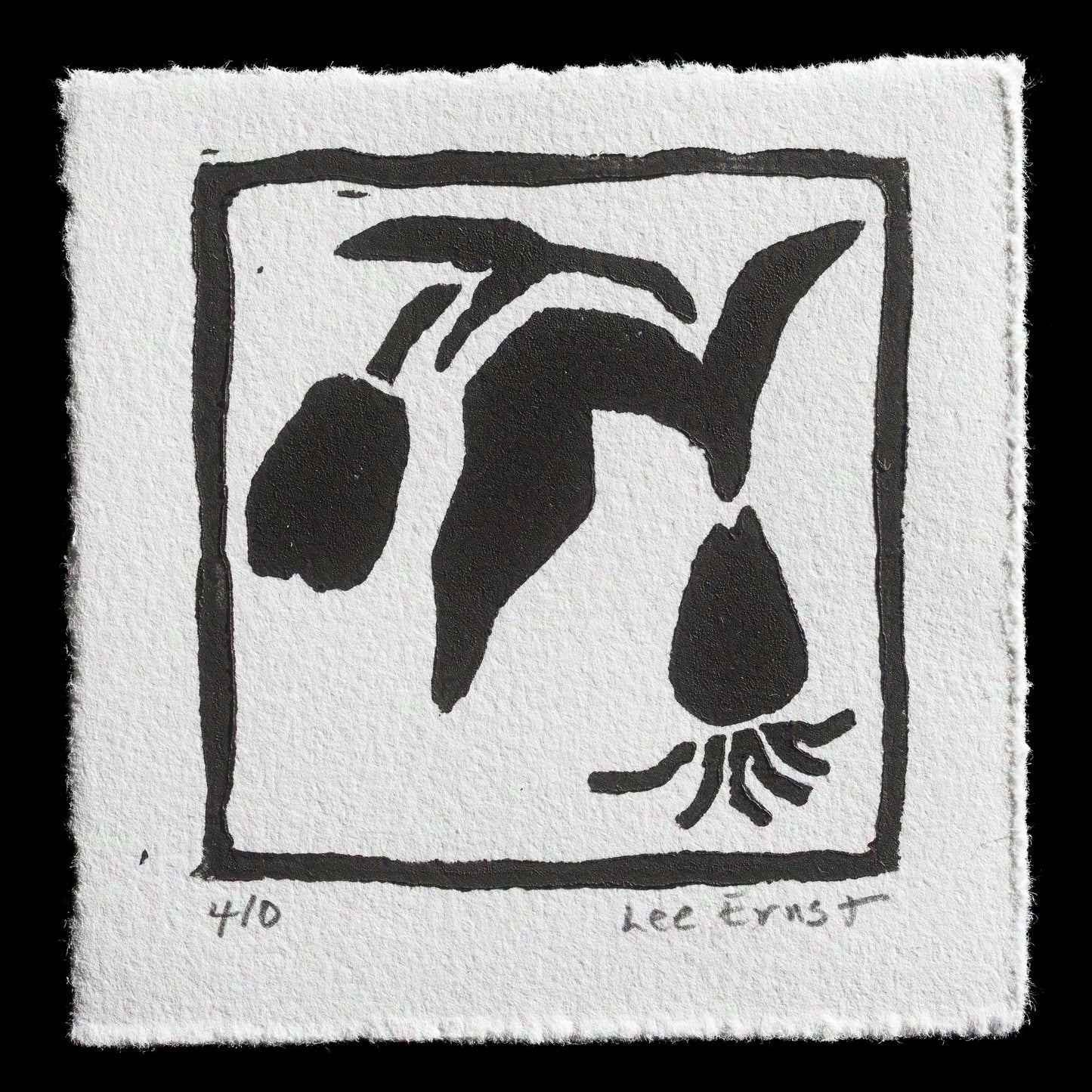 "Tulip" by Lee Ernst