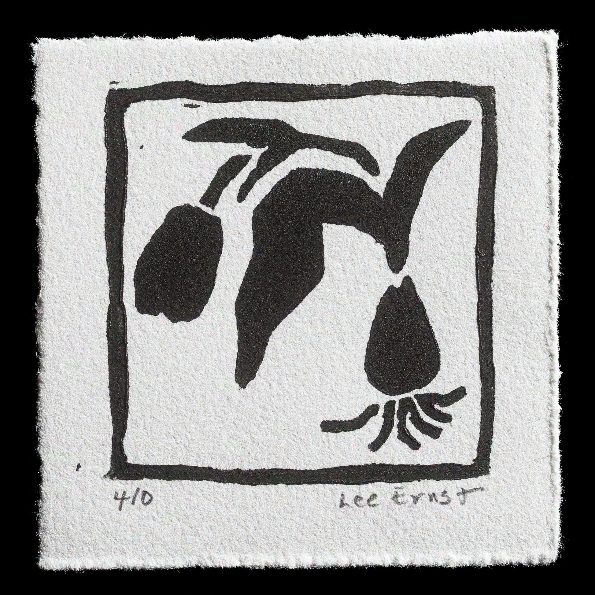 "Tulip" by Lee Ernst