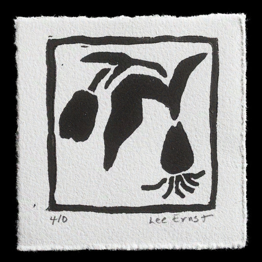"Tulip" by Lee Ernst
