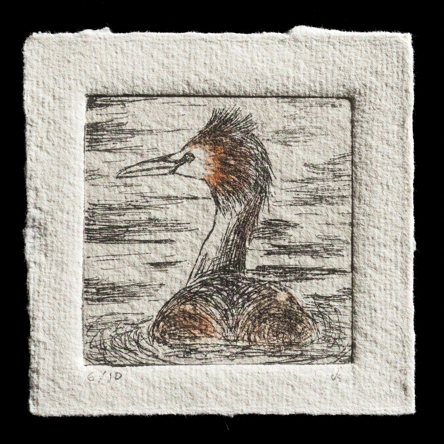 "Haubentaucher (Podiceps cristatus)" by Kristjan Schröder