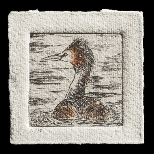 "Haubentaucher (Podiceps cristatus)" by Kristjan Schröder