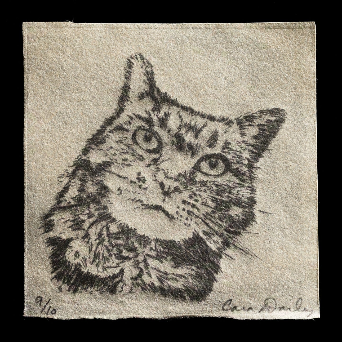 "Wilma" by Cara Dailey