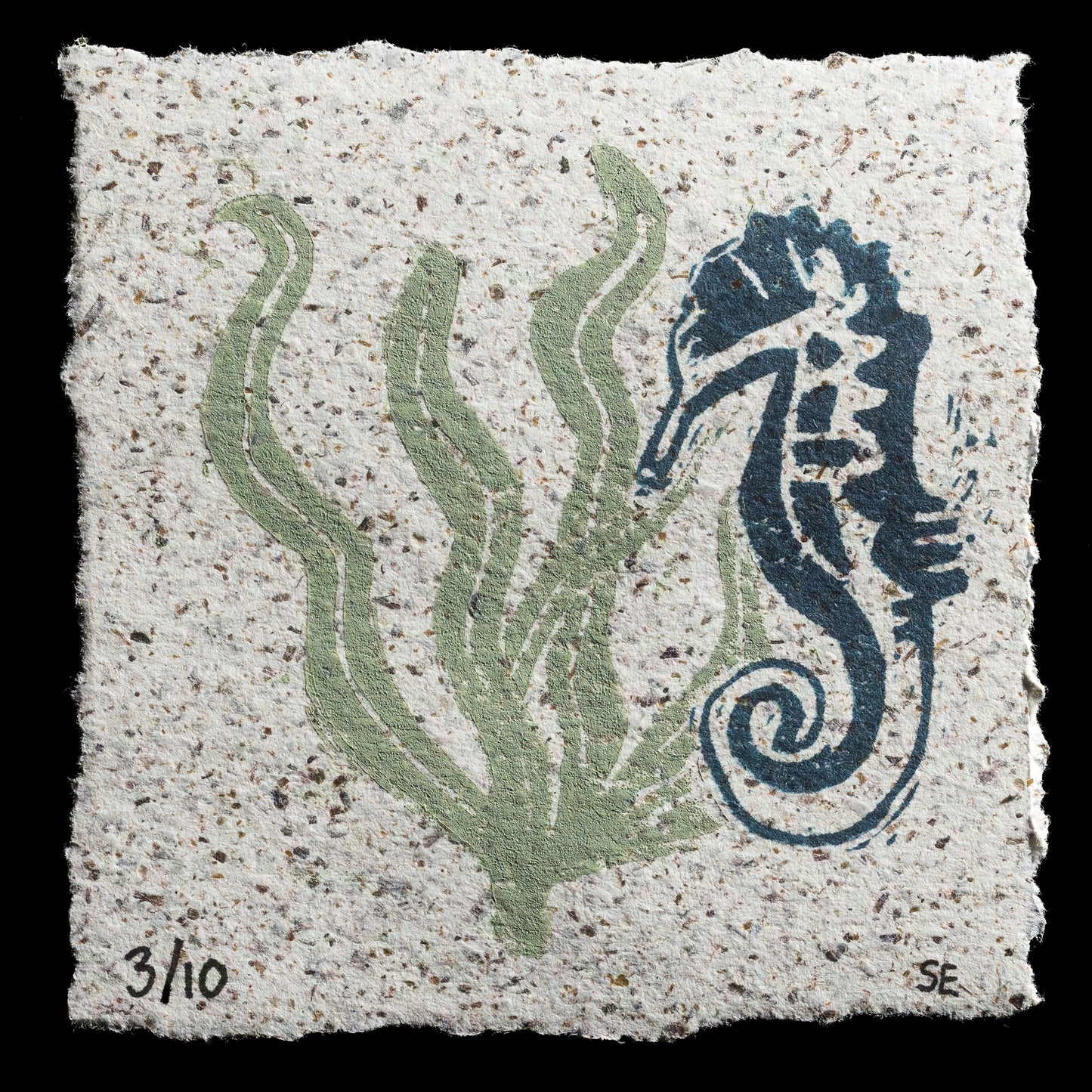 "Seaweed" by Sophie Edwards