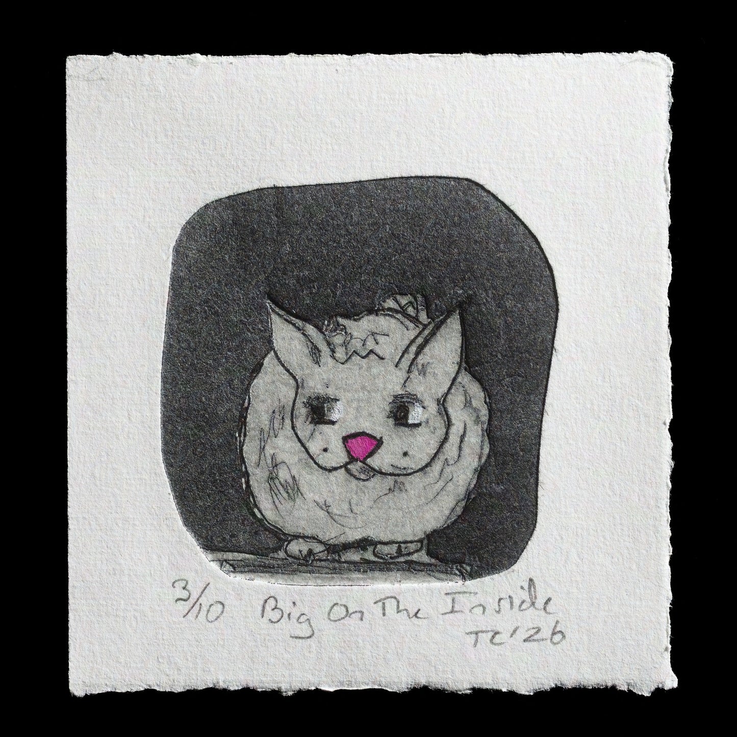 "Big on the inside" by Tessa Chudy 