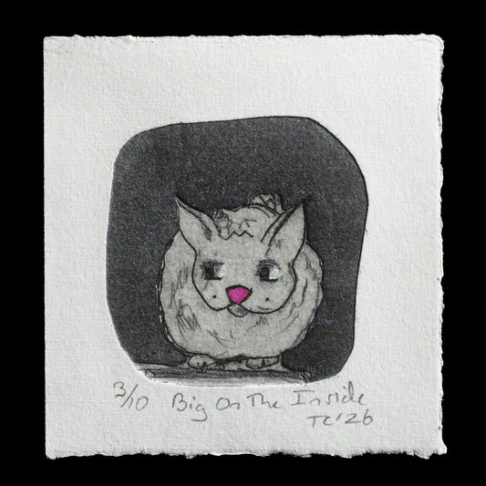 "Big on the inside" by Tessa Chudy 