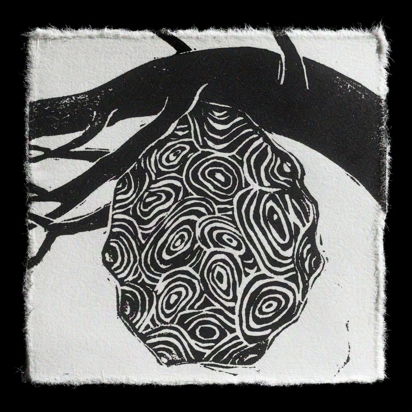 "Wasp Nest" by Erin Croft Graves