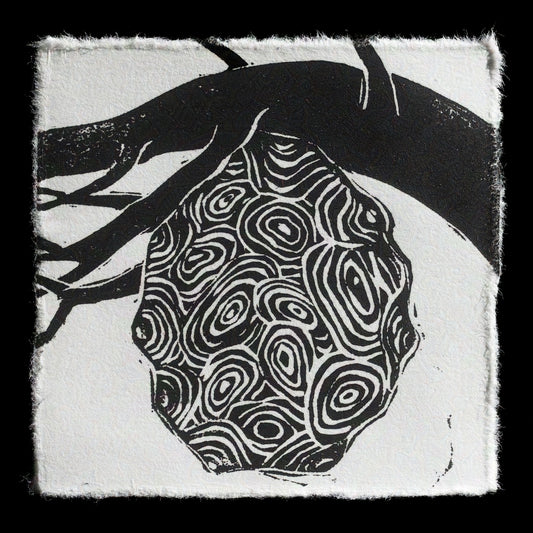 "Wasp Nest" by Erin Croft Graves