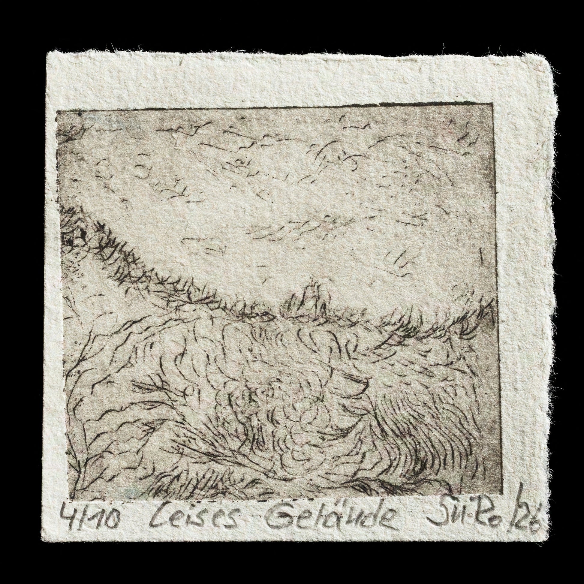 "Leises Gelände" by Susann Rollgeiser 