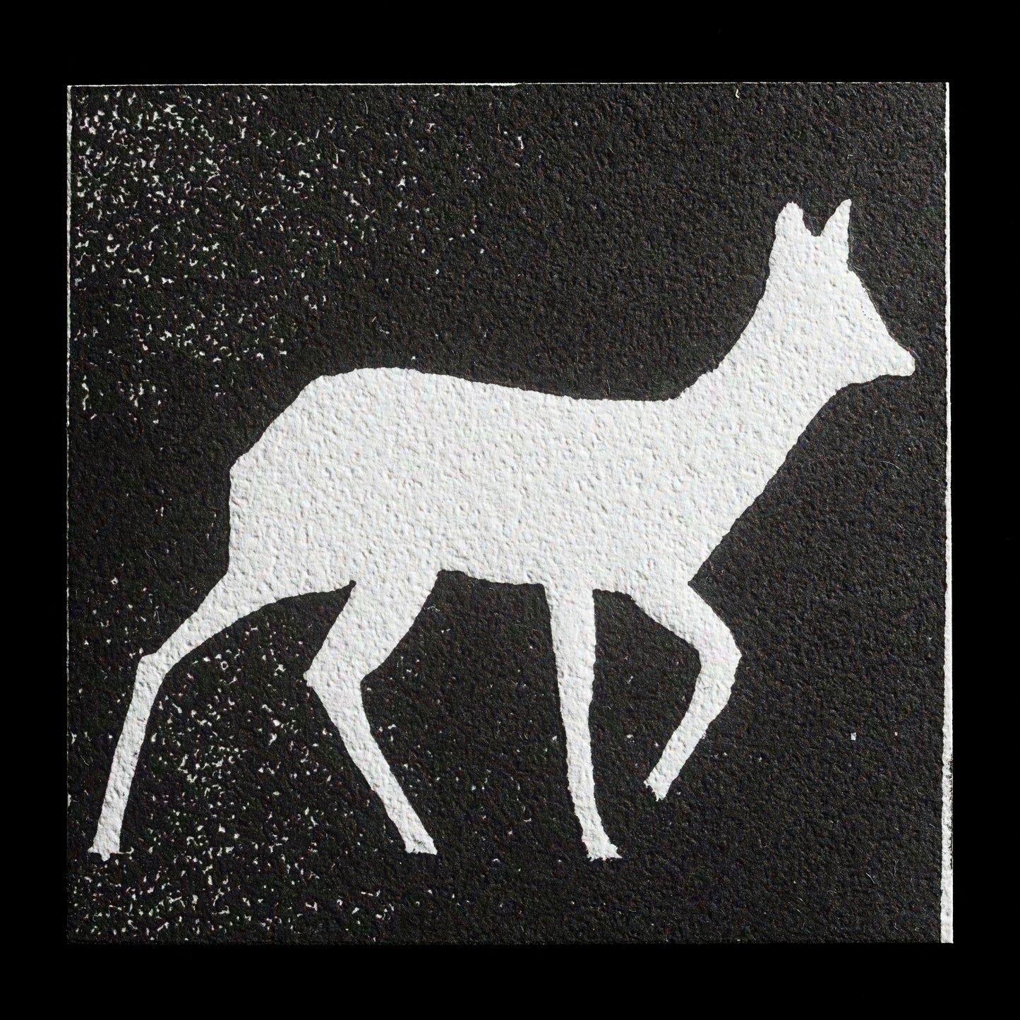 "White deer" by Jürgen Straß
