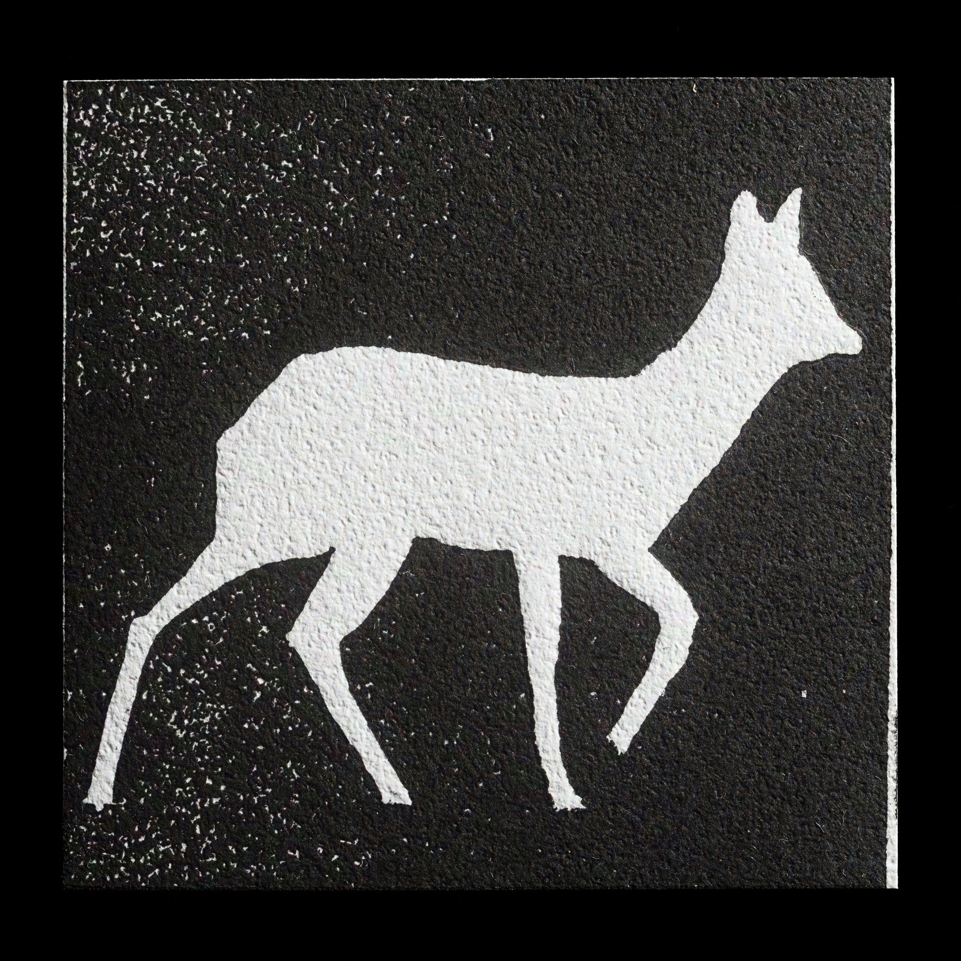 "White deer" by Jürgen Straß