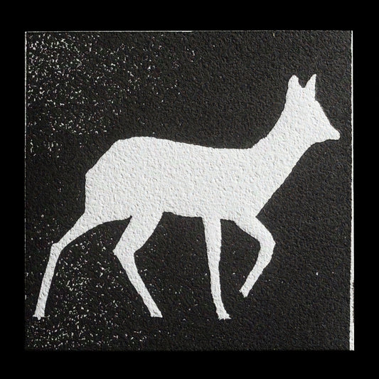 "White deer" by Jürgen Straß