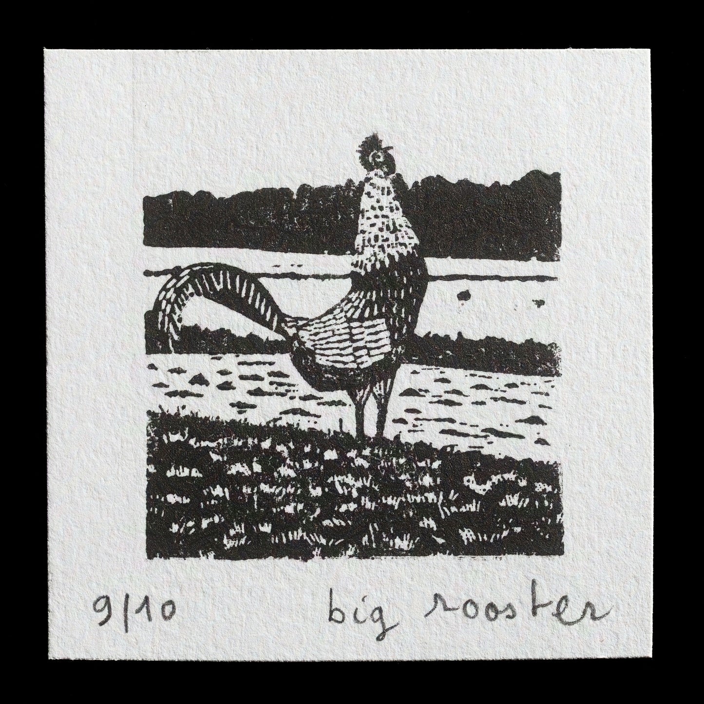 "big rooster" by pasukaru