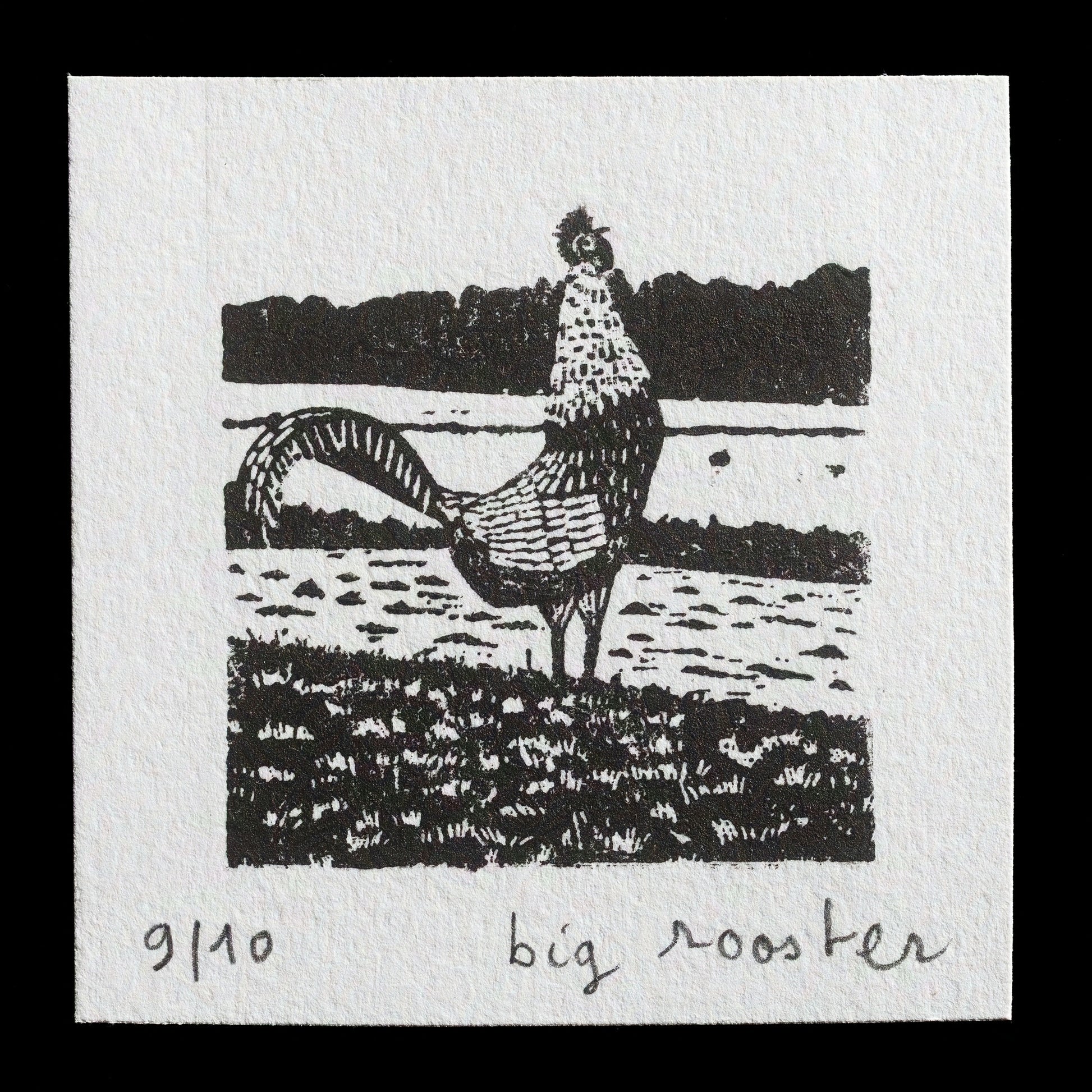 "big rooster" by pasukaru