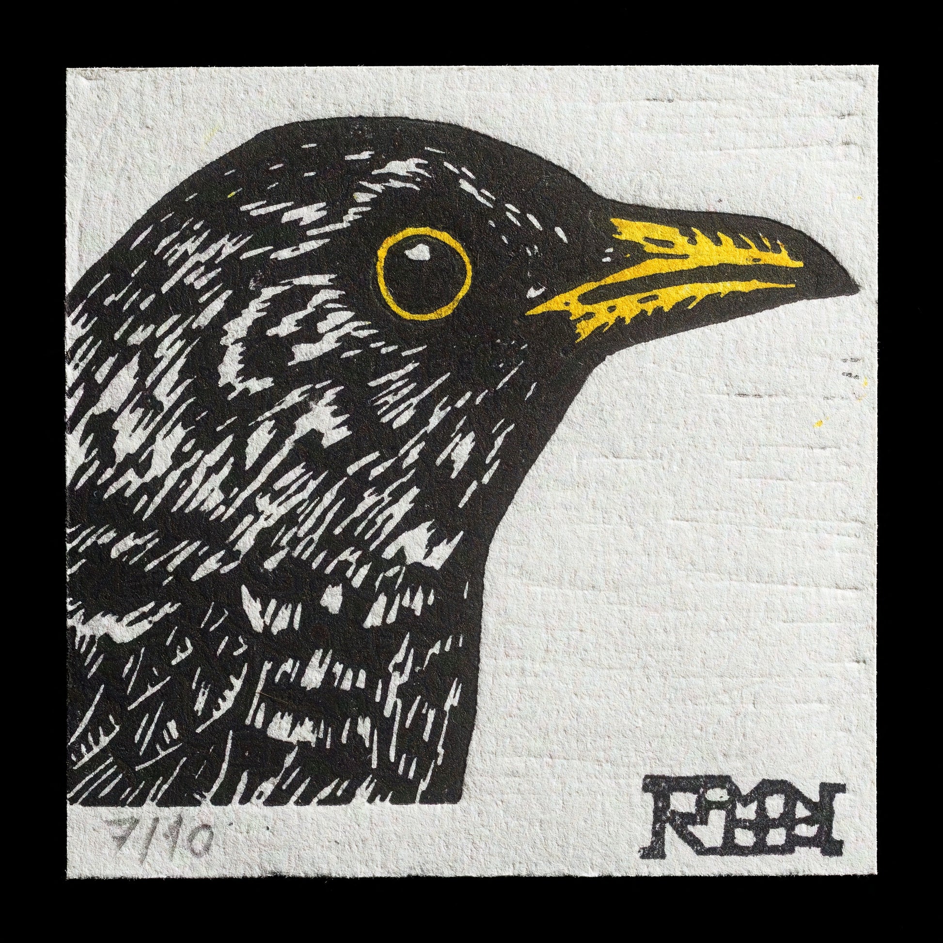 "Merla (Blackbird)" by RAMON ROCA
