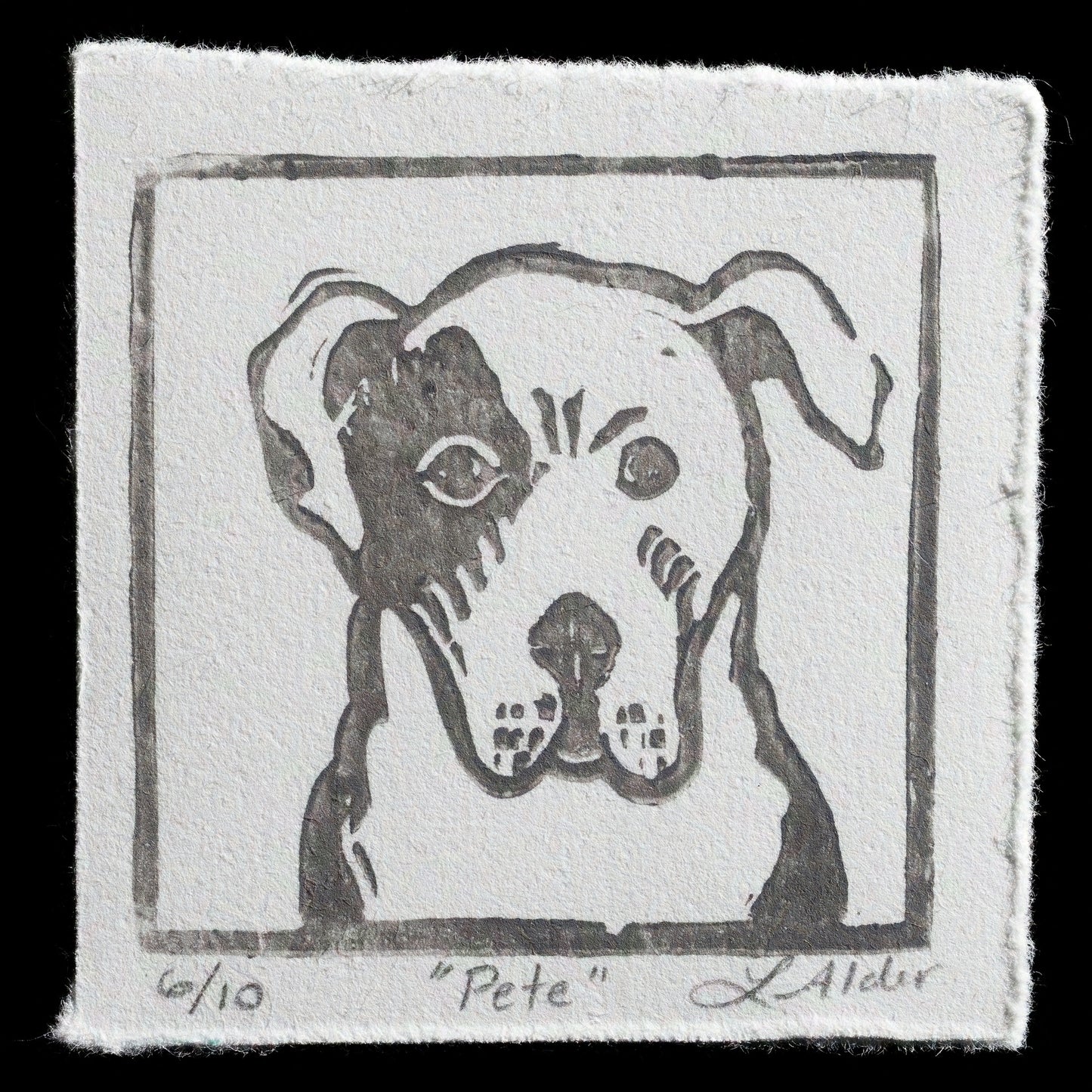 "Pete" by Linda Alder