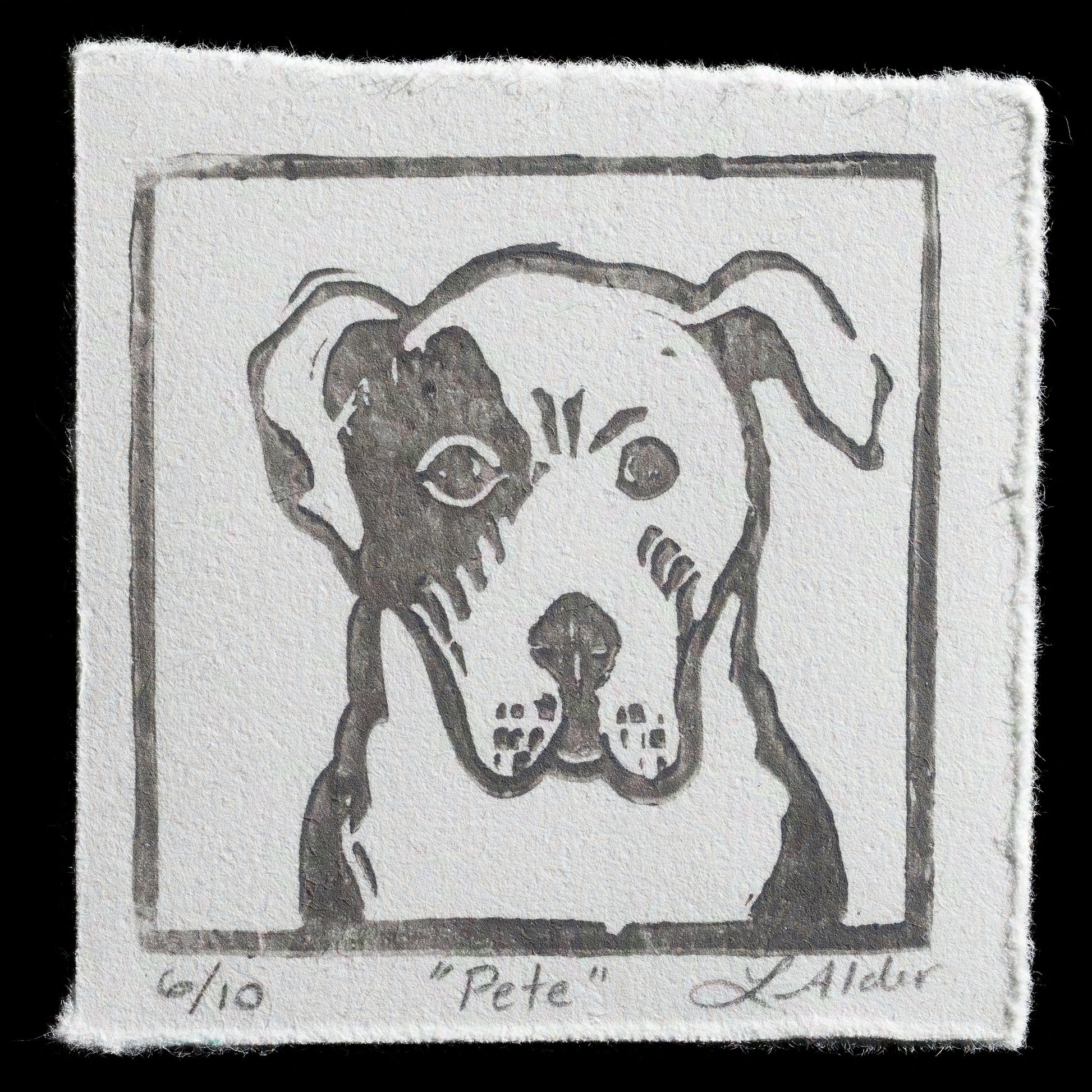 "Pete" by Linda Alder