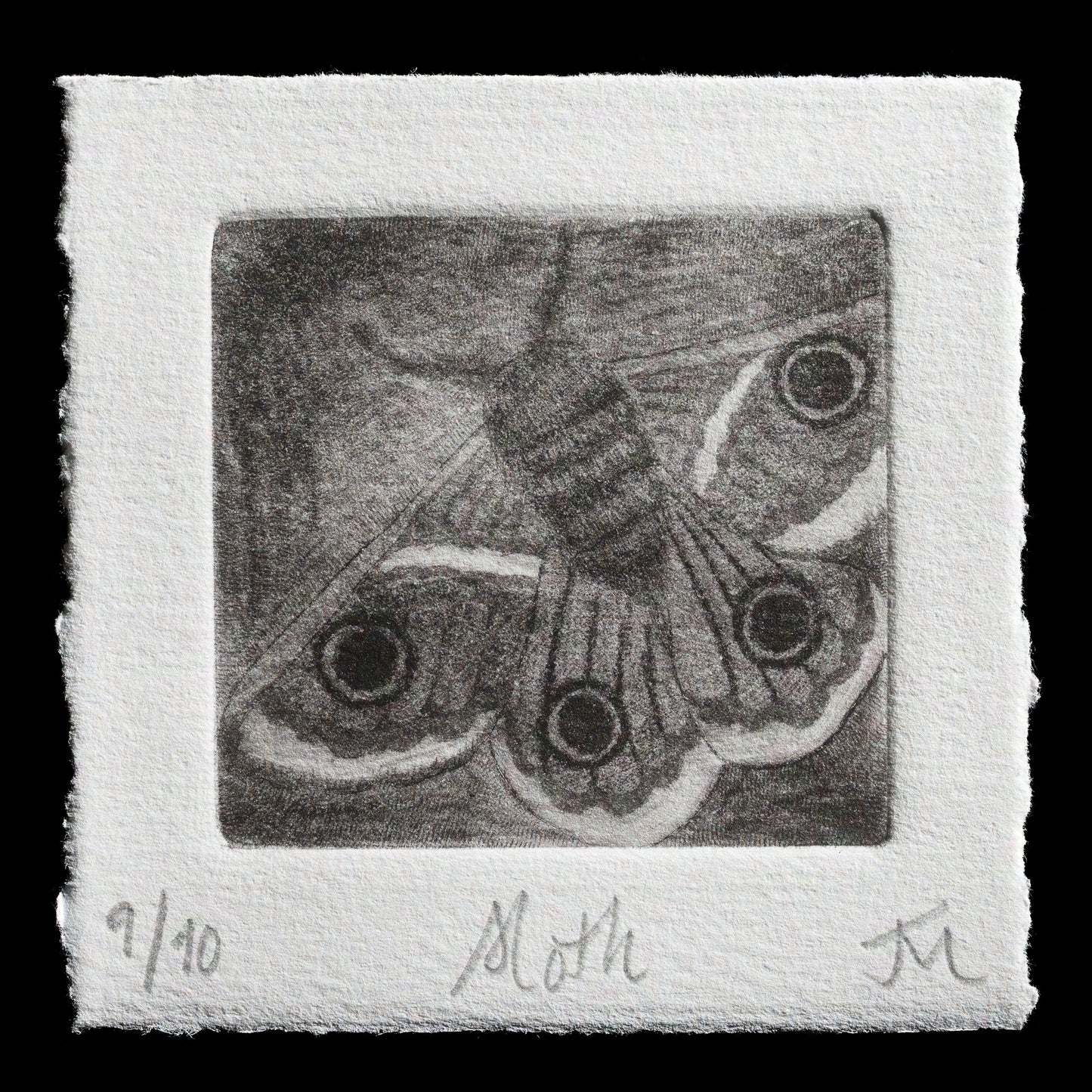 "Moth" by Jess Milhausen