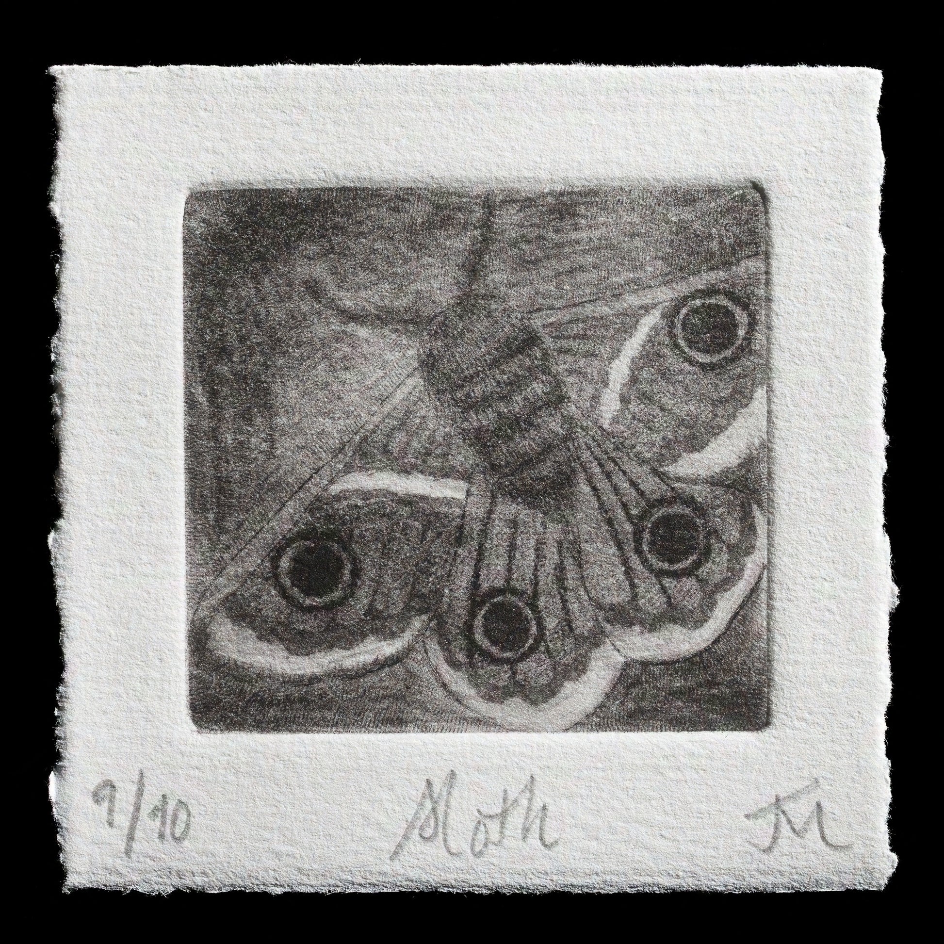 "Moth" by Jess Milhausen